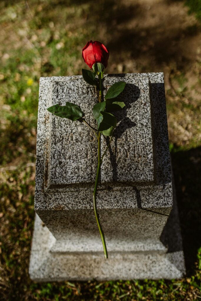 pexels-photo-6841683-6841683 Lonely red rose atop a granite tombstone in an outdoor graveyard setting.